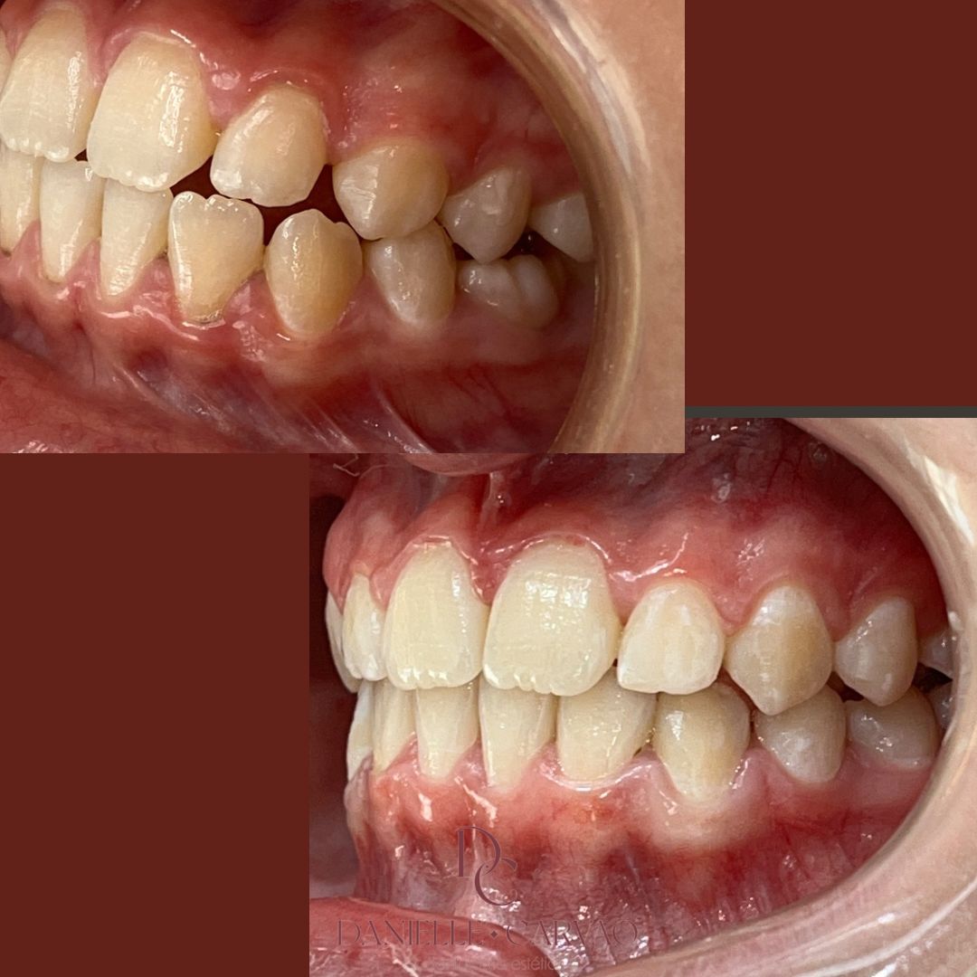 4408e2df-dbd2-4b95-89fe-f241a8bbb314